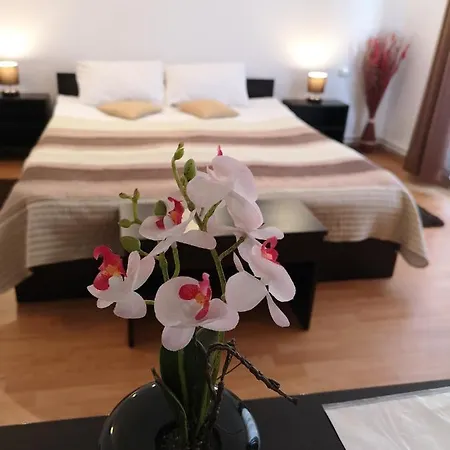 Casa بيت ضيافة *