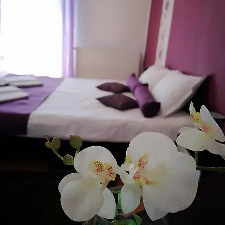 بيت ضيافة Casa *